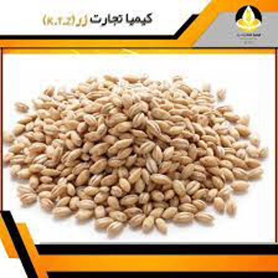 تصویر از گندم حلیم اصفهان