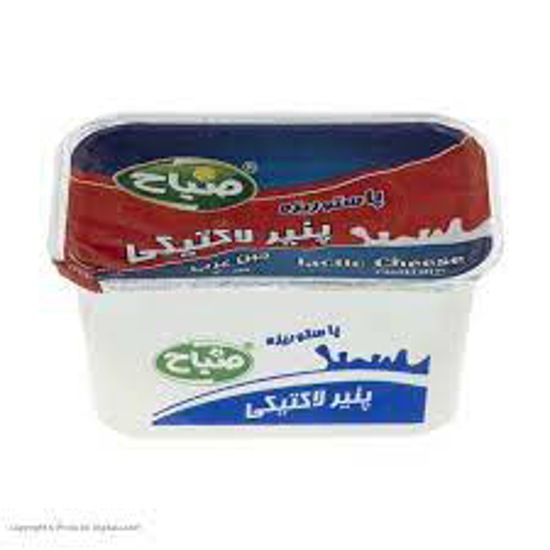 تصویر از پنیرلاکتیکی صباح