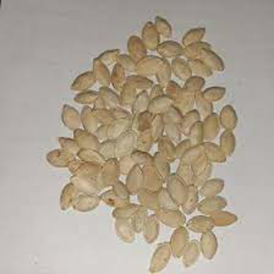 تصویر از تخمه کدوی ایرانی