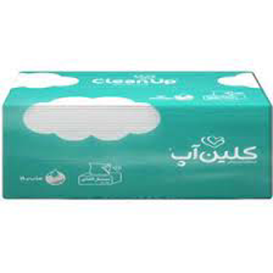 تصویر از دستمال 250 برگ دو لا سافت اند کلین