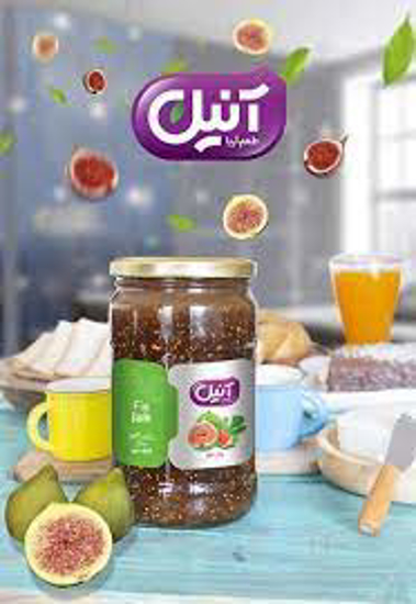 تصویر از مربای انجیر 800گ آنیل