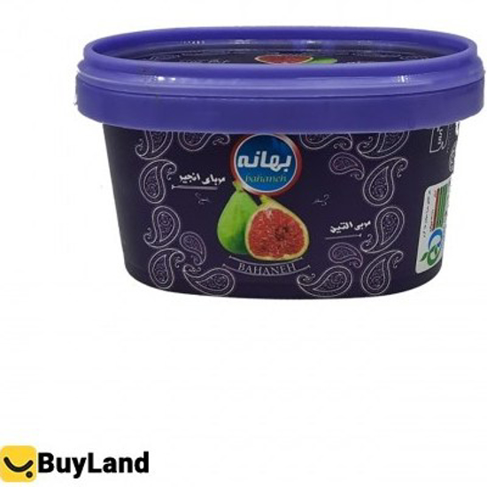 تصویر از مربای انجیر 220 گ ایز