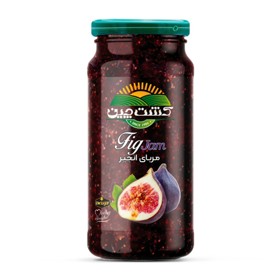 تصویر از مربای انجیر 600 گ کشت چین